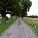 Grylewo - droga na cmentarz parafialny - panoramio